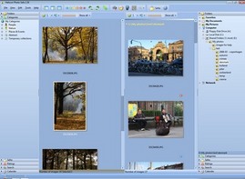 Helicon Photo Safe  is a fully featured image management program.