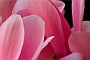 Increasing Depth of Field of Micro/Macro Lens with Helicon Software