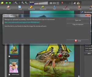 quick-publish-to-web
