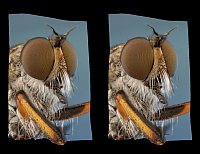 stereo_ii
