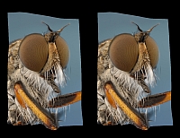 stereo_x